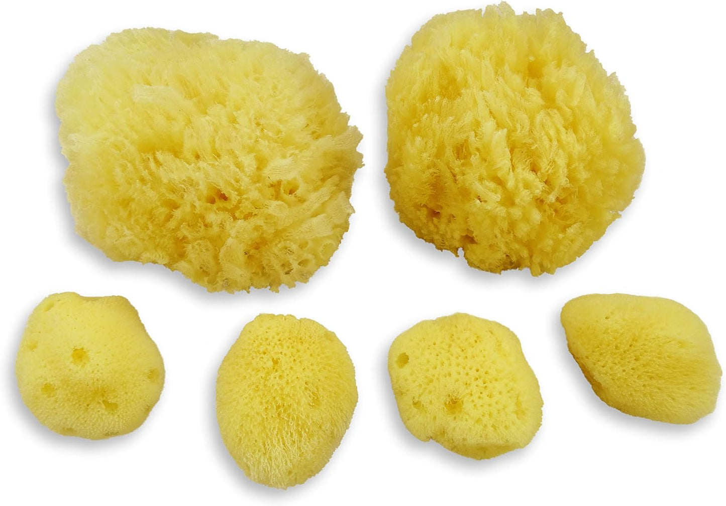 Real Sea Sponges for Babies - 6 Pk Bath Care Set, Gentle, Kind on Skin, for Bathing Washing Body Eyes, Ears Nose, Also for Newborn Toddler Kids; Baby Shower Spa Gift by ®