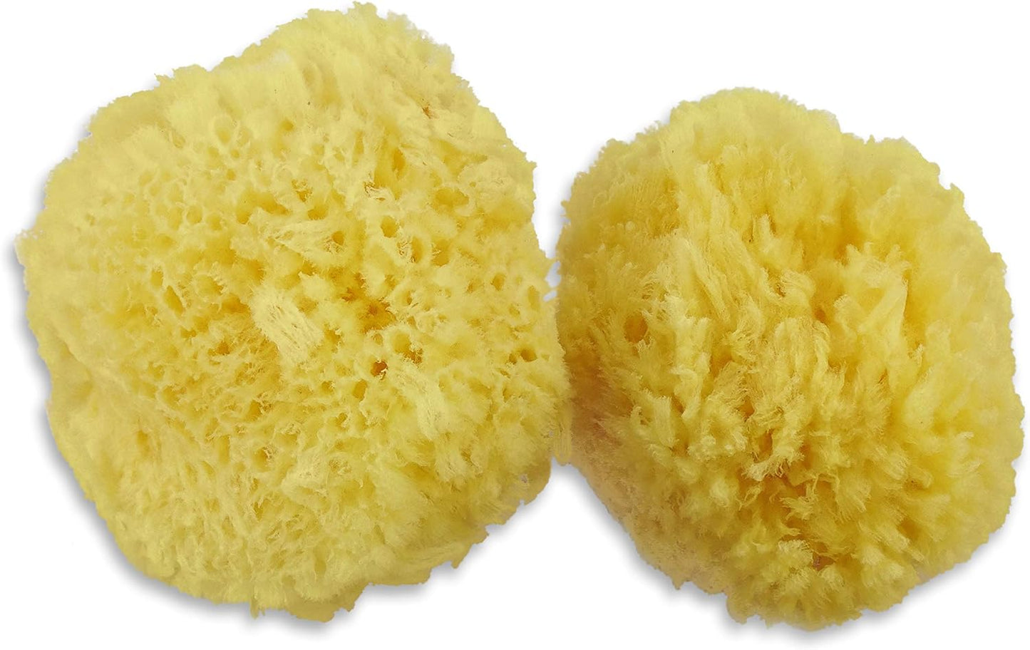 Real Sea Sponges for Babies - 6 Pk Bath Care Set, Gentle, Kind on Skin, for Bathing Washing Body Eyes, Ears Nose, Also for Newborn Toddler Kids; Baby Shower Spa Gift by ®