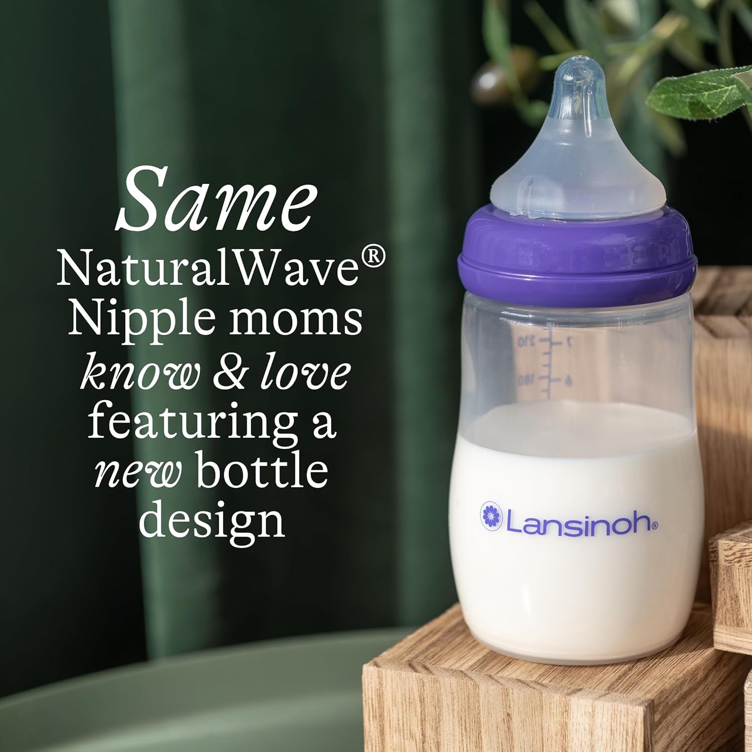 Anti-Colic Baby Bottles for Breastfeeding Babies, 8 Ounces, 3 Count, Includes 3 Medium Flow Nipples, Size M