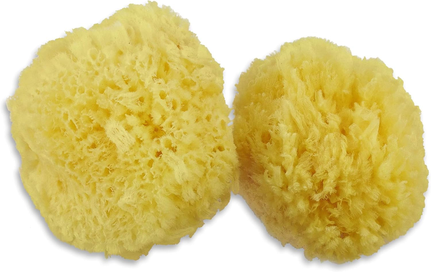 Real Sea Sponges for Babies - 6 Pk Bath Care Set, Gentle, Kind on Skin, for Bathing Washing Body Eyes, Ears Nose, Also for Newborn Toddler Kids; Baby Shower Spa Gift by ®